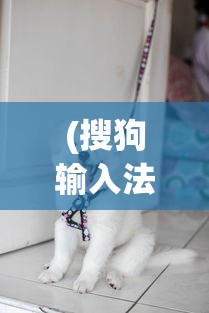 (搜狗输入法的小狗)基于搜狗输入法的小刀歌，探索与创新之旅