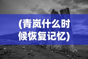 (青岚什么时候恢复记忆)青岚所在地揭秘，神秘之地的探寻之旅