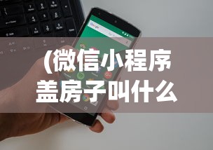 (微信小程序盖房子叫什么)微信小程序中的盖房子游戏，乐趣与挑战并存