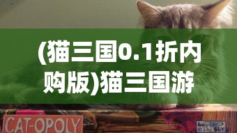 (猫三国0.1折内购版)猫三国游戏，0.1折特惠狂欢，一场策略与宠物的完美结合！