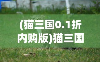 (被夺走一切后她封神归来TXT)被夺走一切后她封神归来