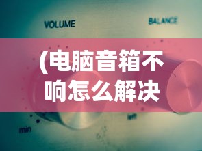(电脑音箱不响怎么解决视频)电脑音箱不响的解决方法及常见问答