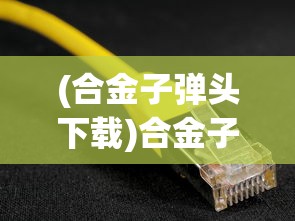 (合金子弹头下载)合金子弹3，深度解析与常见问题解答