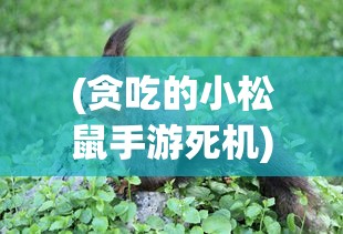 (贪吃的小松鼠手游死机)贪吃的小松鼠手游，探险与美食的完美结合