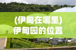 (伊甸在哪里)伊甸园的位置，神秘而引人入胜的所在