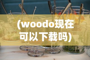 (雷电沙龙曼蛇破解版)雷电沙龙曼蛇无敌版，深度分析与探索