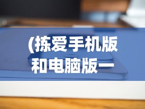 (拣爱手机版和电脑版一样吗怎么下载)拣爱手机版和电脑版是否一样？游戏体验和功能对比解析