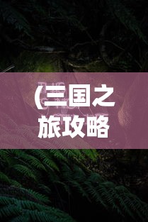 (三国之旅攻略)三国之旅，极品残石的神秘用途