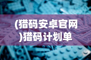 (猎码安卓官网)猎码计划单机游戏，深度解析与常见问题解答