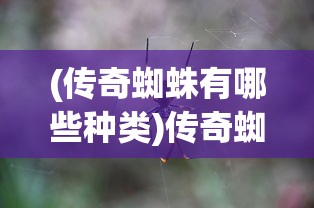 (黄金甲之迷攻略)黄金甲之谜攻略2星全面解析与策略分享
