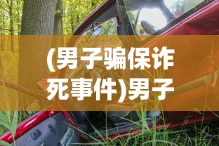 (花与剑李首乾与女主的关系)花与剑，李首乾与剑影中的女主传奇故事