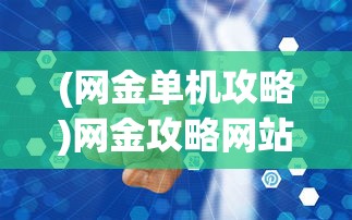 (网金单机攻略)网金攻略网站，全方位解析与常见问题解答