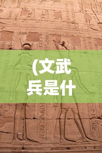 (文武兵是什么字)文兵武兵，历史演变与现代军事发展