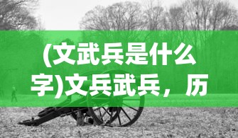 (文武兵是什么字)文兵武兵，历史演变与现代军事发展