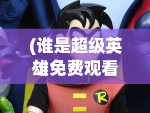 (谁是超级英雄免费观看完整版)谁是超级英雄，多元视角下的英雄解析