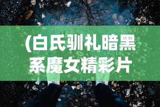 (白氏驯礼暗黑系魔女精彩片段)白氏驯礼与暗黑系魔女的交织传奇