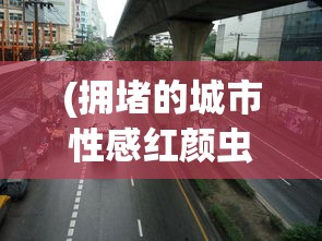 (拥堵的城市性感红颜虫虫助手)拥堵城市中的性感红颜，现象解析与多元思考