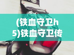 (铁血守卫h5)铁血守卫传奇之道力盾，守护之力与荣耀之战