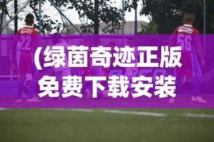 (绿茵奇迹正版免费下载安装)绿茵奇迹正版，探索正版足球游戏世界的魅力与重要性