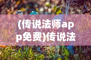 (传说法师app免费)传说法师app，神秘魔法与移动设备的完美结合