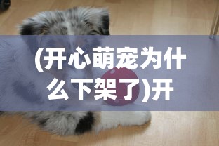 (开心萌宠为什么下架了)开心萌宠，宠物带来的快乐与陪伴