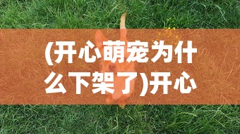 (开心萌宠为什么下架了)开心萌宠，宠物带来的快乐与陪伴