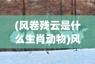 (风卷残云是什么生肖动物)风卷残云与生肖的奇妙关联