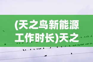 (天之鸟新能源工作时长)天之鸟新能源，绿色能源的崭新篇章