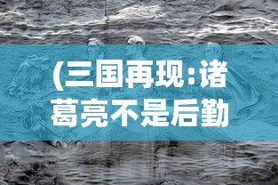 (三国再现:诸葛亮不是后勤部长)三国再现，历史与艺术的交融