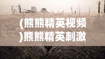 (熊熊精英视频)熊熊精英刺激战场，战火重燃的战场传奇