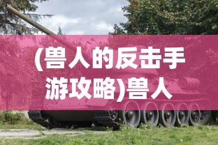 (兽人的反击手游攻略)兽人的反击手游版，策略与荣耀的碰撞