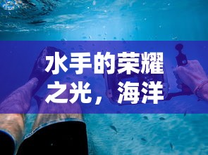 水手的荣耀之光，海洋探险的荣耀与冒险