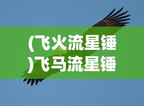 (飞火流星锤)飞马流星锤，古老武器的新生