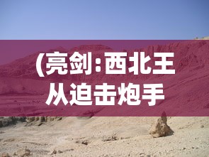 (亮剑:西北王从迫击炮手开始TXT)亮剑，西北王从迫击炮手开始