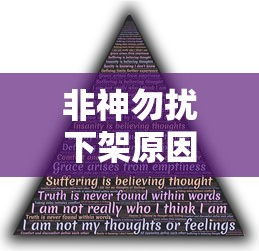 非神勿扰下架原因深度解析