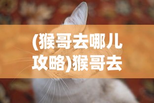 (猴哥去哪儿攻略)猴哥去哪儿，更新方式与最新动态解析