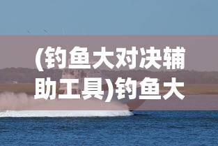 (钓鱼大对决辅助工具)钓鱼大对决辅助器安卓，游戏利器还是潜在风险？