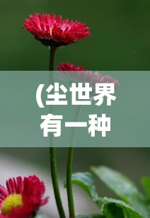 (尘世界有一种相遇,在心灵深处相遇)尘缘深处的相遇，心灵之约的探寻