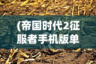 (帝国时代2征服者手机版单机下载)帝国时代2征服者手机版，经典游戏的移动重生