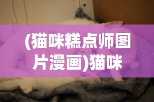 (猫咪糕点师图片漫画)猫咪糕点，萌宠与美食的完美结合