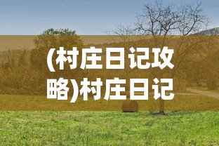 (村庄日记攻略)村庄日记2，探访之旅与火鸡收集之旅
