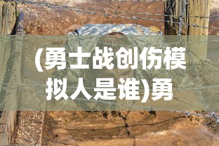 (勇士战创伤模拟人是谁)勇士战创伤模拟人与未来军事训练