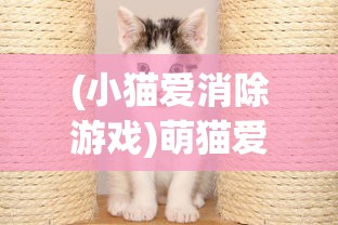 (小猫爱消除游戏)萌猫爱消除，一场治愈系消除游戏的魅力之旅