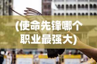 (使命先锋哪个职业最强大)使命先锋，哪个职业最强？深度解析与探讨