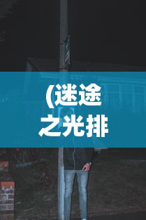(迷途之光排行榜最新版)迷途之光最新排行榜，探索与启示
