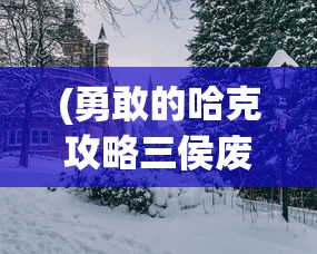 (勇敢的哈克攻略三侯废墟)勇敢的哈克全面攻略，游戏技巧、常见问题解答与参考指南