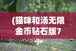 (猫咪和汤无限金币钻石版7月11日)猫咪和汤无限金币钻石版，游戏玩家的福音