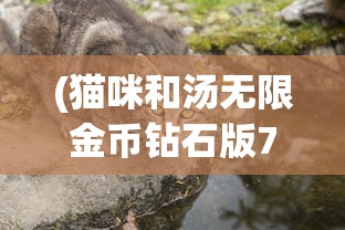 (猫咪和汤无限金币钻石版7月11日)猫咪和汤无限金币钻石版，游戏玩家的福音