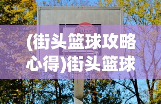 (街头篮球攻略心得)街头篮球攻略达人，从新手到高手的全面指南