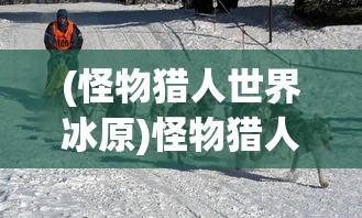 (怪物猎人世界冰原)怪物猎人世界，深入探索与常见问答解析